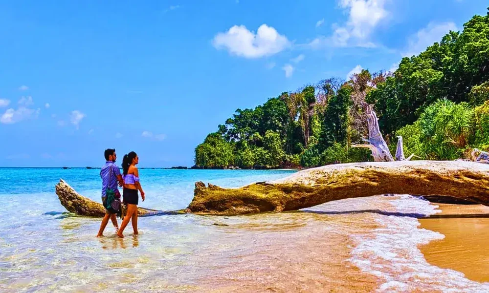 Andaman Trip for Students: What They Can Learn on the Islands